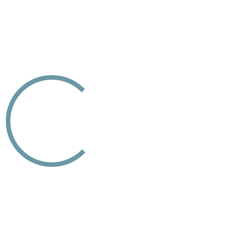 Squarespace Circle Silver Partner